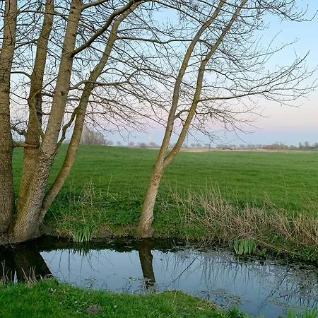 Autonomous Tiny House In Eiderstedt Salt Marshes Сasa de vacaciones Poppenbull