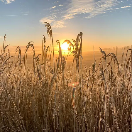 Semesterbostad Autonomous Tiny House In Eiderstedt Salt Marshes *