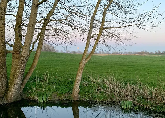 Autonomous Tiny House In Eiderstedt Salt Marshes Semesterbostad Poppenbull