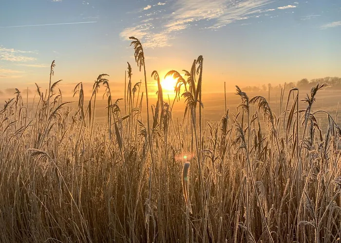 Semesterbostad Autonomous Tiny House In Eiderstedt Salt Marshes *